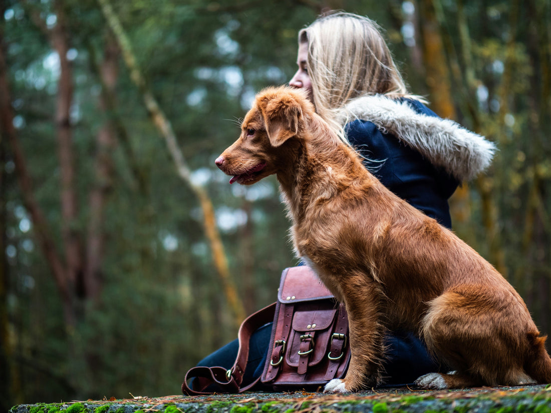 Owner hiking with a Nova Scotia Duck Tolling Retriever.