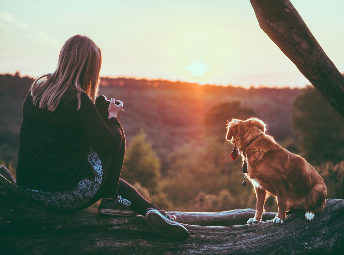 Owner enjoying life with a Nova Scotia Duck Tolling Retriever on a woodland walk.