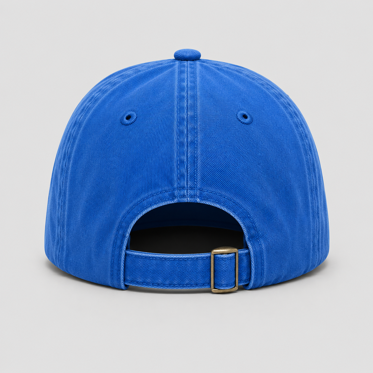 NSDTR Cap (Blue)