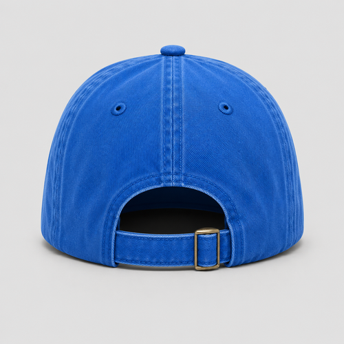 NSDTR Cap (Blue)