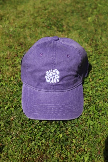 NSDTR Cap (Purple)